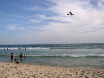 1-jan-2008-praia-10-350-px.jpg