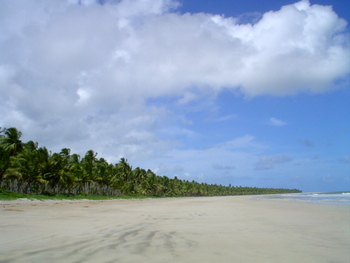 praia-do-morro-c-350.jpg