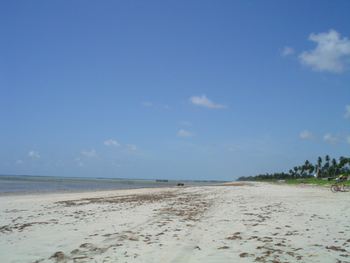praia-toque-2004-2-350.jpg